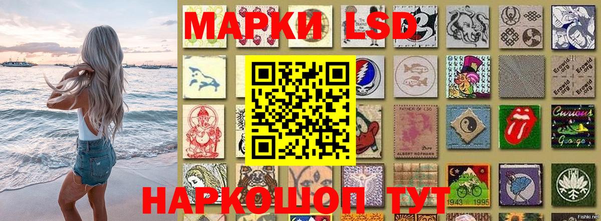 где найти   Вход с VPN  Железноводск  Наркотические марки 1500мкг  Наркотические марки 1500мкг 